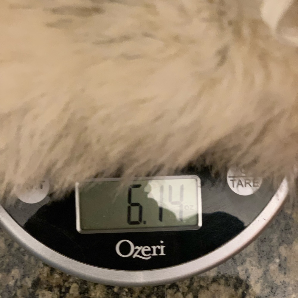 Fancy Furs - Picture 5 of 5